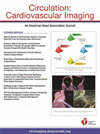 点击查看Circulation-cardiovascular Imaging